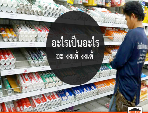 กาวยาแนว หลอดไหนคืออะไรไปทำความรู้จักกันครับ